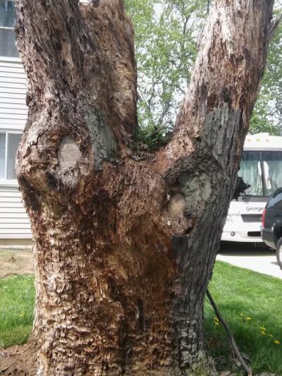 Crisman Park - Barberton, OH