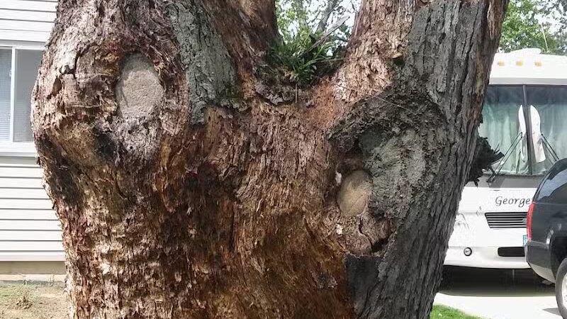 Crisman Park - Barberton, OH