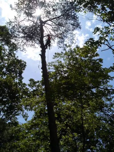 Crisman Park - Barberton, OH