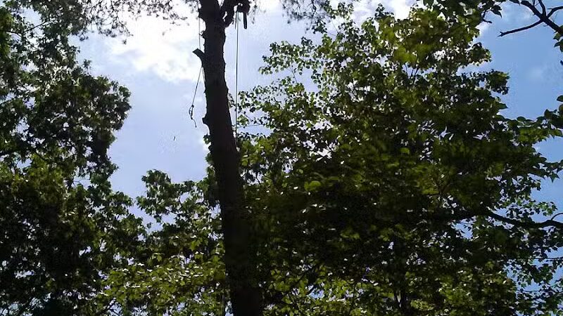 Crisman Park - Barberton, OH