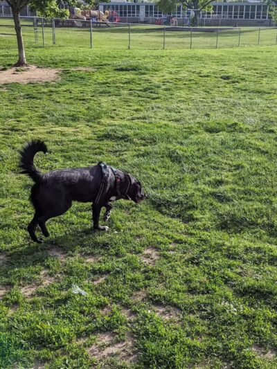 Decker Park - Barberton, OH