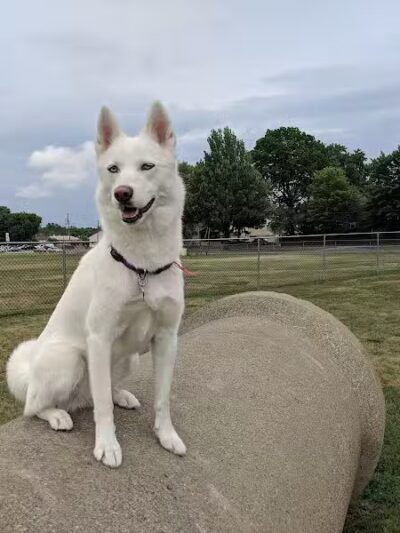 Decker Park - Barberton, OH