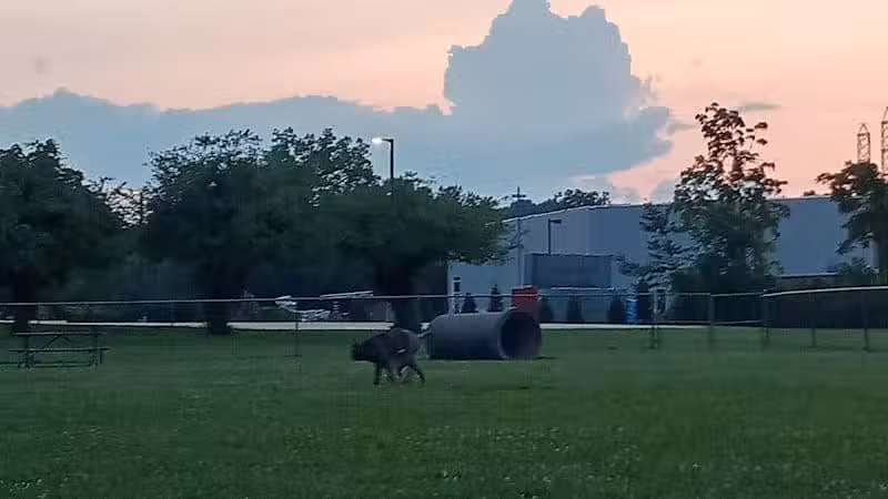 Decker Park - Barberton, OH