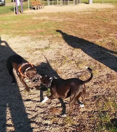 Decker Park - Barberton, OH