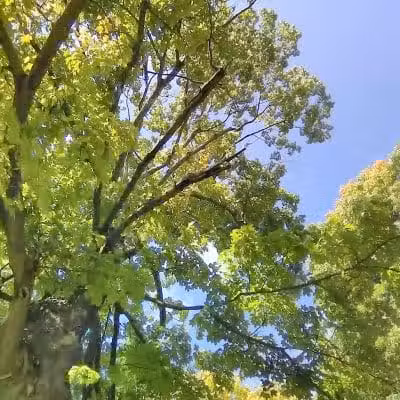 Edgewood Park - Barberton, OH
