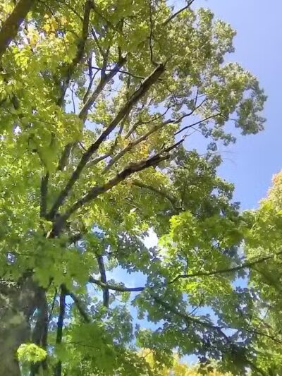 Edgewood Park - Barberton, OH