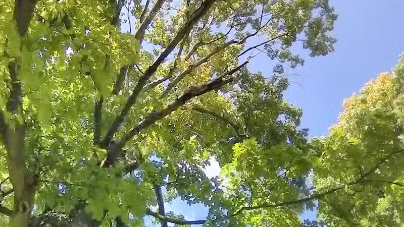 Edgewood Park - Barberton, OH