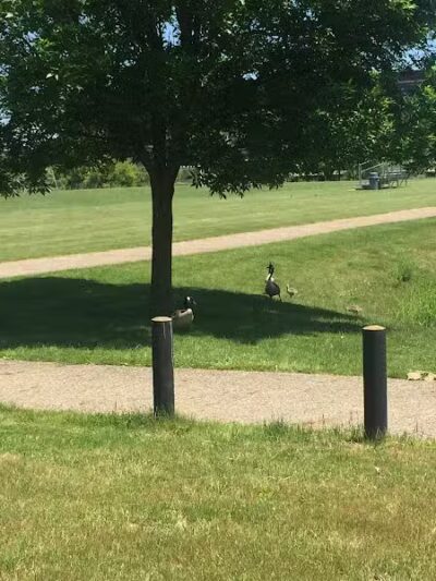 Foundation Field - Barberton, OH