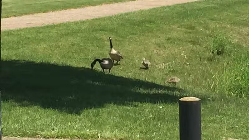Foundation Field - Barberton, OH
