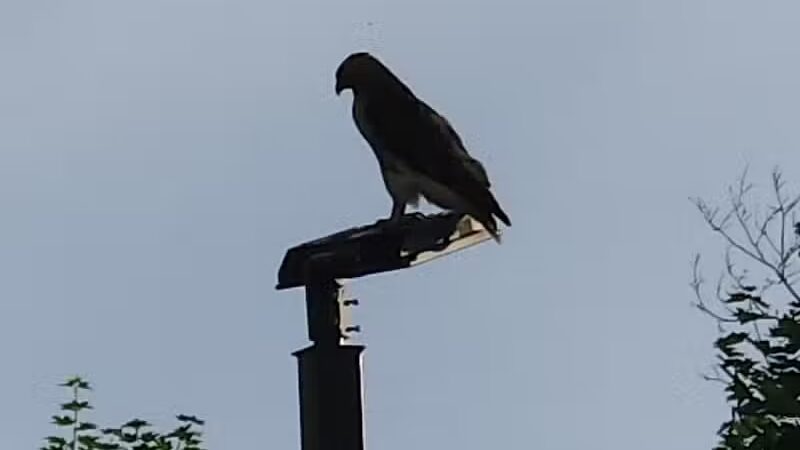 Lake Anna - Barberton, OH