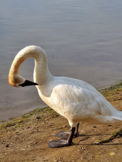 Lake Anna Park - Barberton, OH