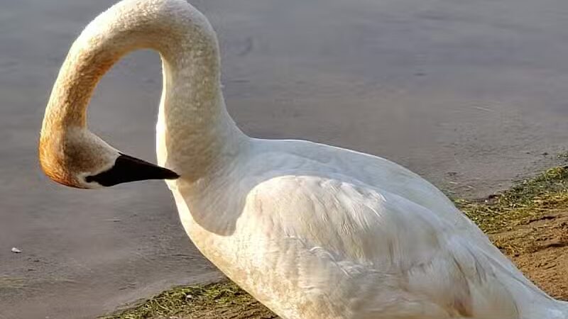 Lake Anna Park - Barberton, OH