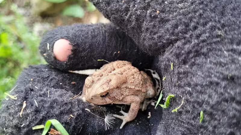 Ohio & Erie Canal Towpath Trail - Barberton, OH