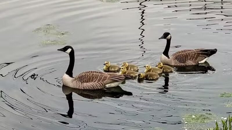 Ohio & Erie Canal Towpath Trail - Barberton, OH