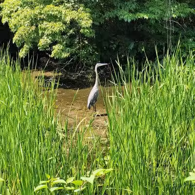 Ohio & Erie Canal Towpath Trail - Barberton, OH