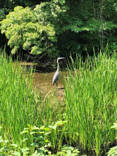 Ohio & Erie Canal Towpath Trail - Barberton, OH