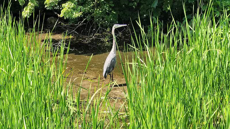 Ohio & Erie Canal Towpath Trail - Barberton, OH