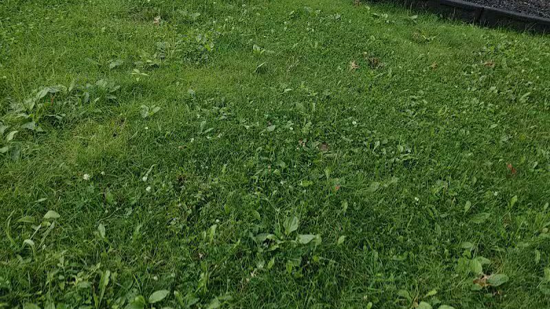 Tuscora Park - Barberton, OH