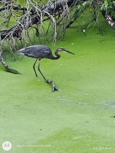 Wolf Creek Trailhead - Barberton, OH