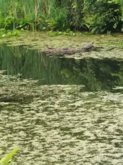 Wolf Creek Trailhead - Barberton, OH