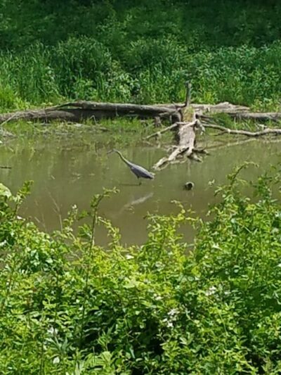 Barnesville Parks and Recreation Center - Barnesville, OH