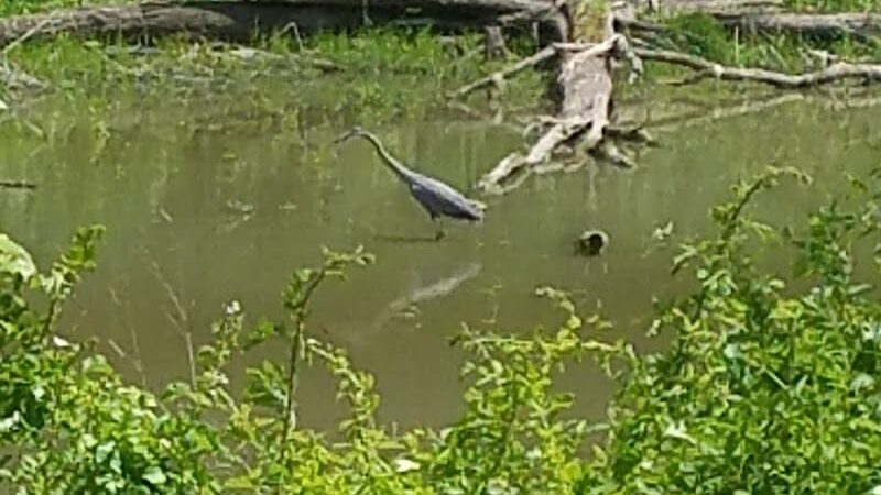 Barnesville Parks and Recreation Center - Barnesville, OH