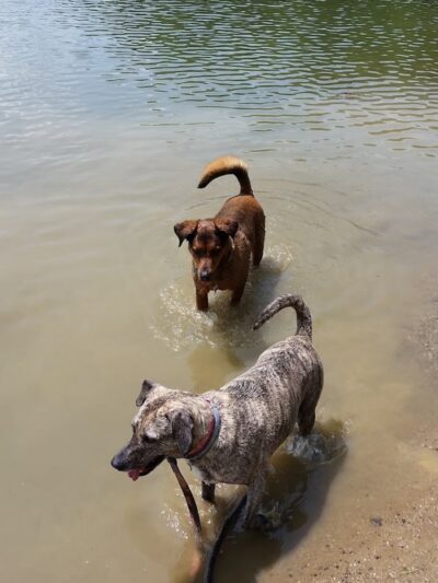 Barnesville Parks and Recreation Center - Barnesville, OH