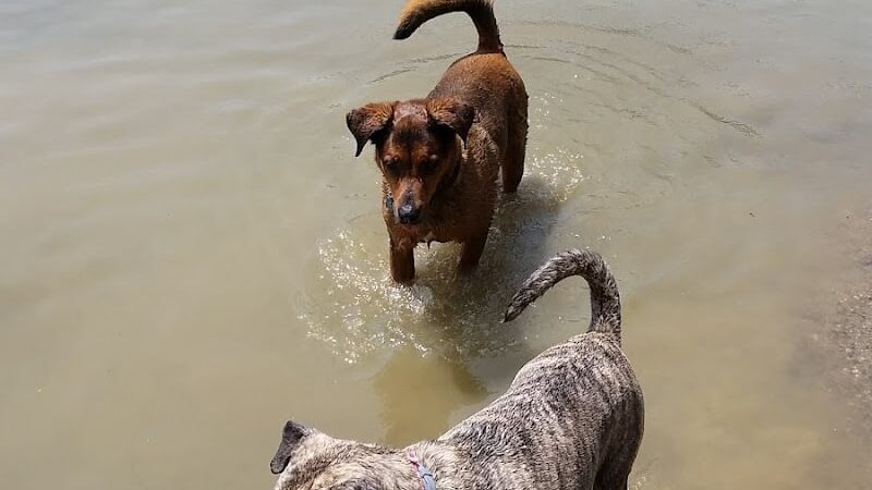 Barnesville Parks and Recreation Center - Barnesville, OH