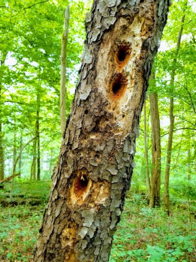 Barnesville Parks and Recreation Center - Barnesville, OH