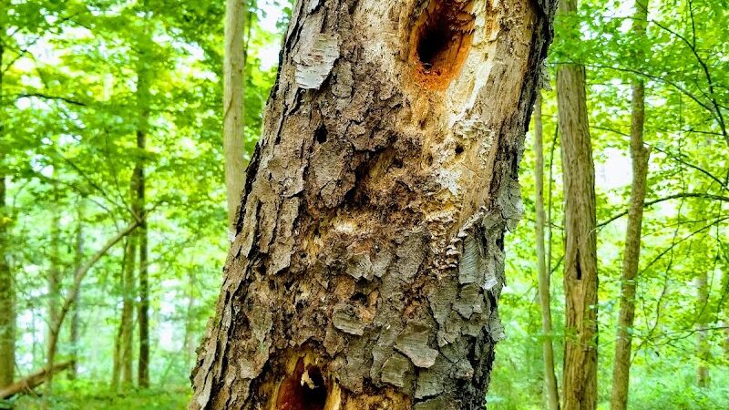 Barnesville Parks and Recreation Center - Barnesville, OH