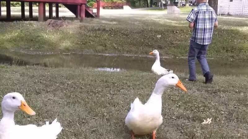 Meadowbrook Park - Bascom, OH