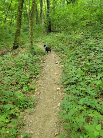 David J Stricker Dog Park - Batavia, OH