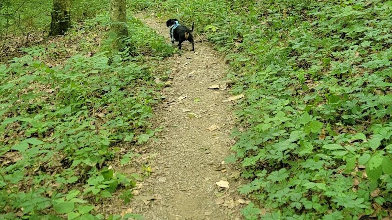 David J Stricker Dog Park - Batavia, OH