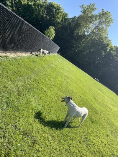 David J Stricker Dog Park - Batavia, OH