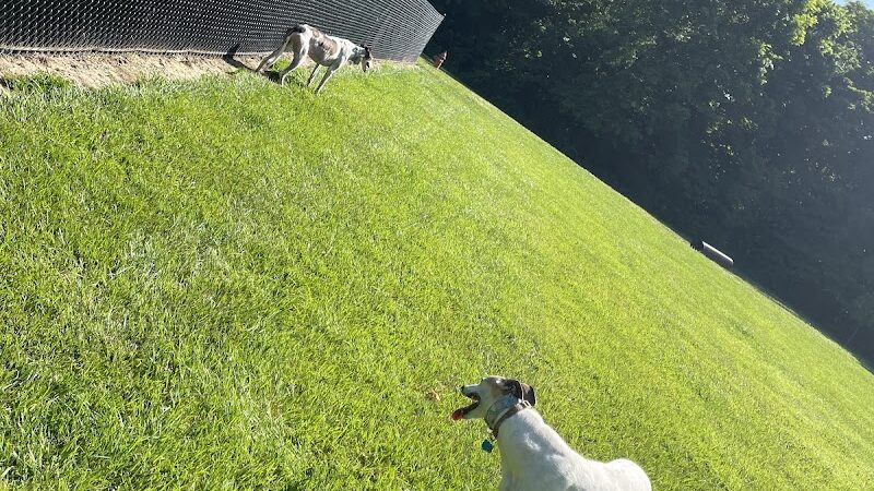 David J Stricker Dog Park - Batavia, OH