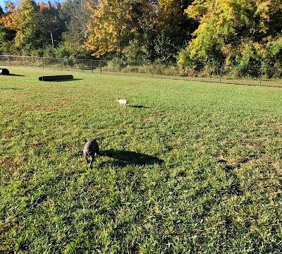 David J Stricker Dog Park - Batavia, OH