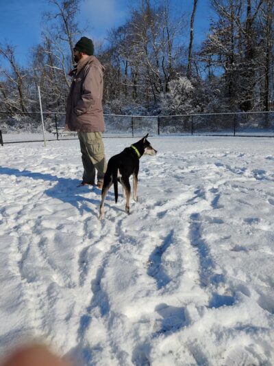 David J Stricker Dog Park - Batavia, OH