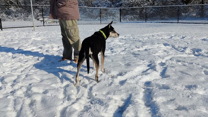 David J Stricker Dog Park - Batavia, OH