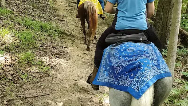 East Fork Lake State Park Bridle Trail Parking - Batavia, OH