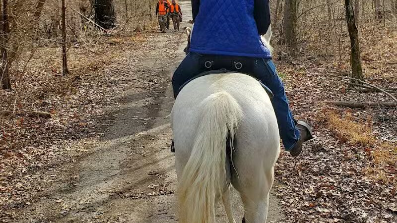 East Fork Lake State Park Bridle Trail Parking - Batavia, OH