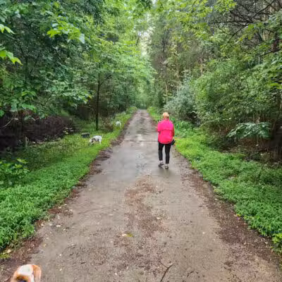 East Fork Lake State Park Bridle Trail Parking - Batavia, OH