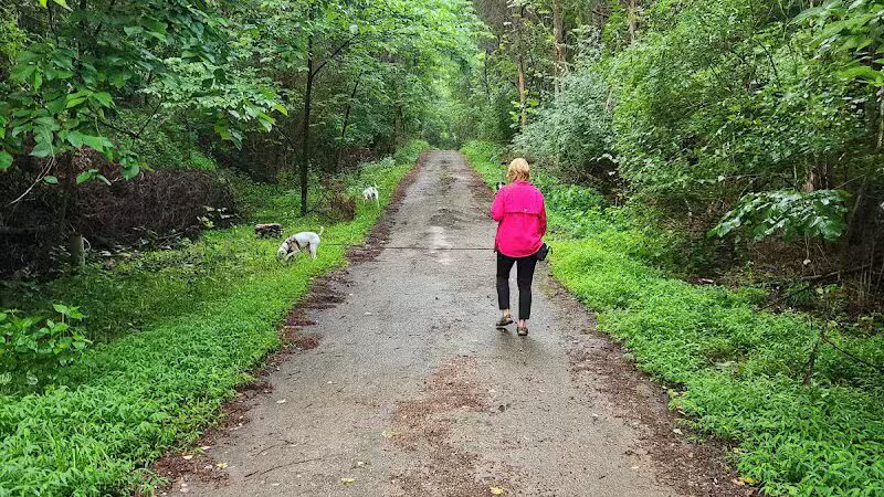 East Fork Lake State Park Bridle Trail Parking - Batavia, OH