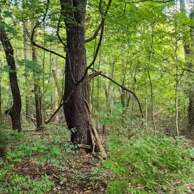 Williamsburg to Batavia Hike-Bike Trail - Zagar Rd. Parking Lot - Batavia, OH