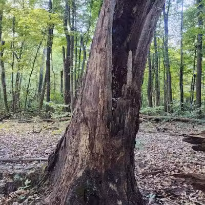 Williamsburg to Batavia Hike-Bike Trail - Zagar Rd. Parking Lot - Batavia, OH