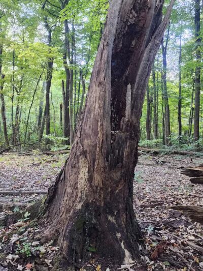 Williamsburg to Batavia Hike-Bike Trail - Zagar Rd. Parking Lot - Batavia, OH