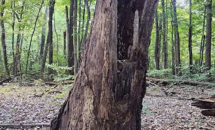 Williamsburg to Batavia Hike-Bike Trail - Zagar Rd. Parking Lot - Batavia, OH