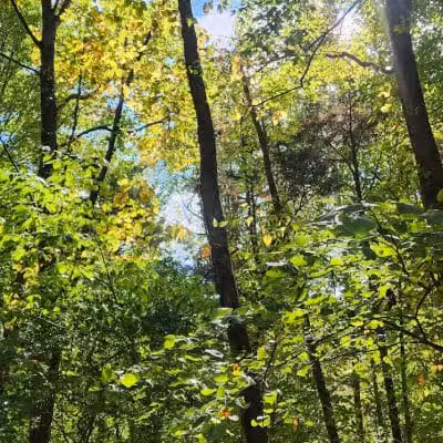 Williamsburg to Batavia Hike-Bike Trail - Zagar Rd. Parking Lot - Batavia, OH