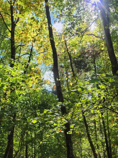 Williamsburg to Batavia Hike-Bike Trail - Zagar Rd. Parking Lot - Batavia, OH