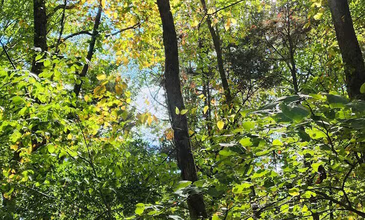 Williamsburg to Batavia Hike-Bike Trail - Zagar Rd. Parking Lot - Batavia, OH