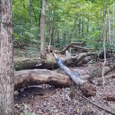 Williamsburg to Batavia Hike-Bike Trail - Zagar Rd. Parking Lot - Batavia, OH